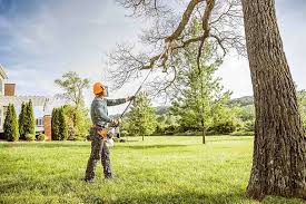 Best Tree Planting Services  in Bainbridge, PA